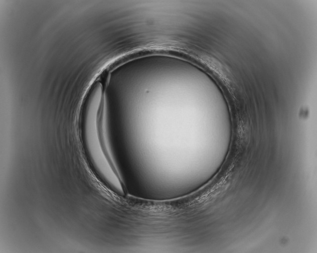 X0000099290934200805161322