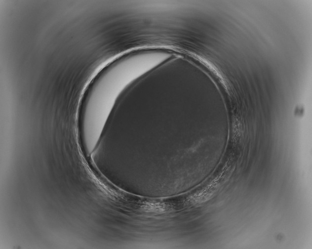 X0000099290935200805161322