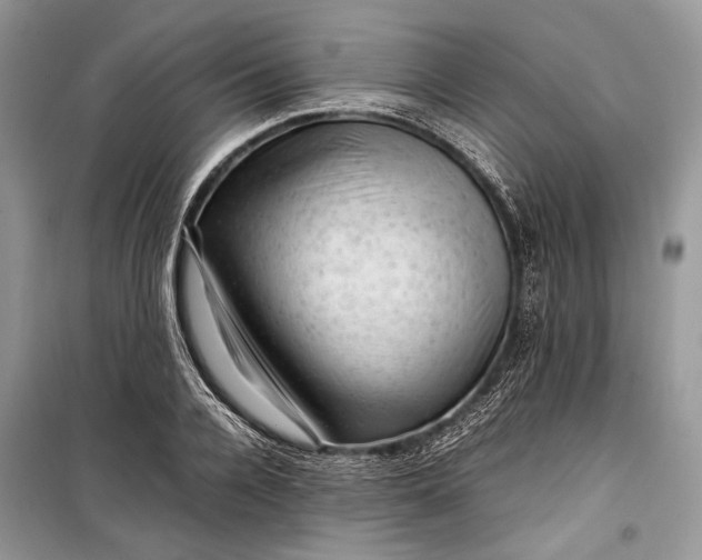 X0000099290936200805161322