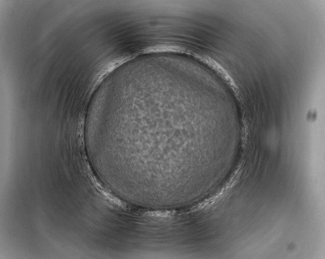 X0000099290937200805161322