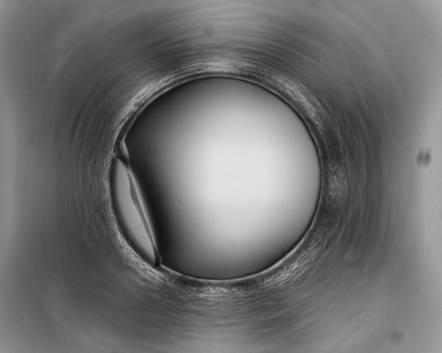 X0000099290938200805161322