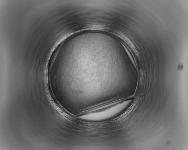 X0000099290939200805161322