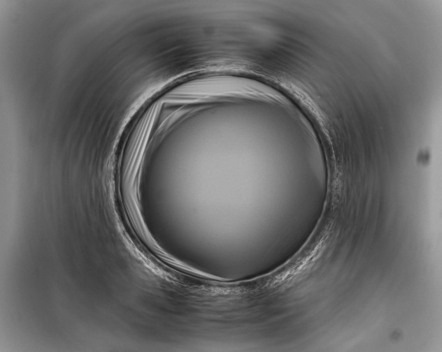 X0000099290941200805161322