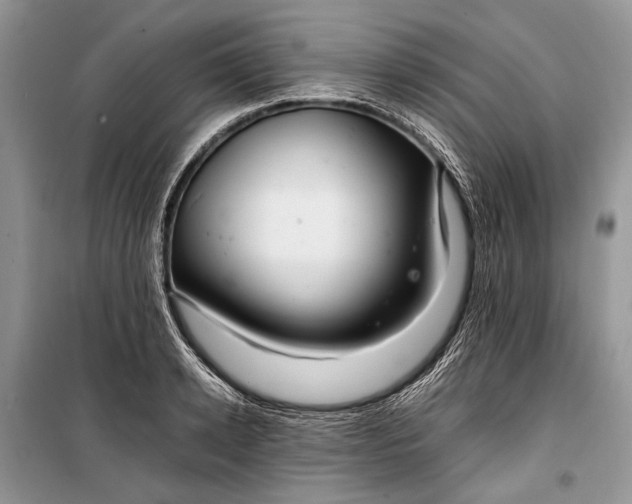 X0000099290942200805161322