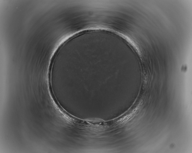 X0000099290943200805161322