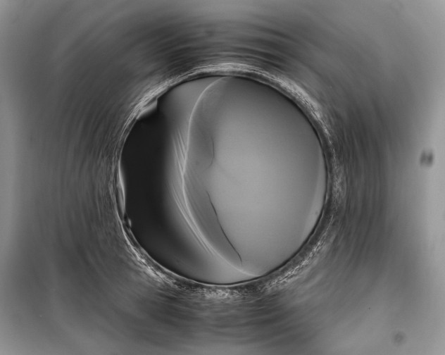 X0000099290945200805161322