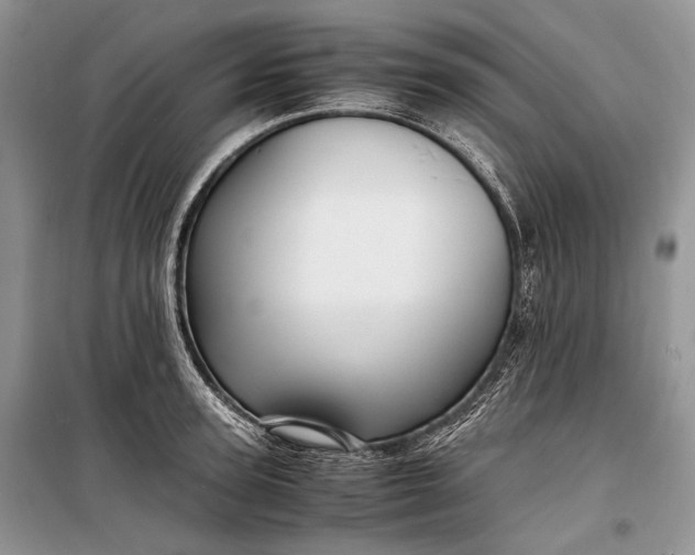 X0000099290947200805161322