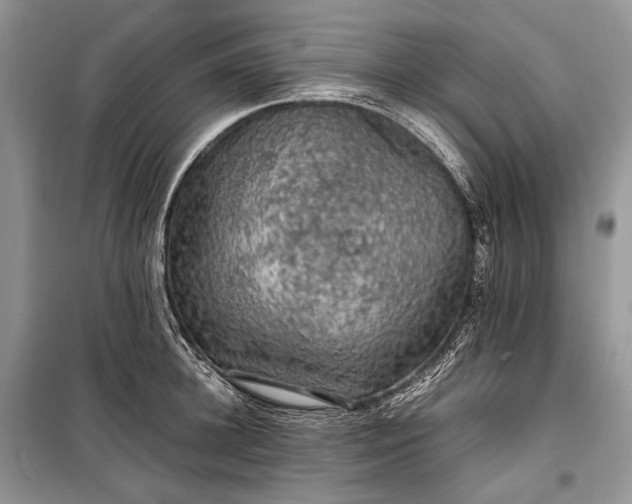 X0000099290948200805161322