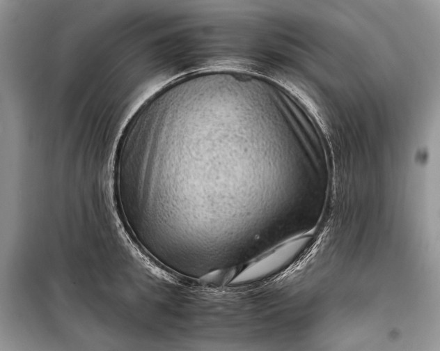 X0000099290949200805161322