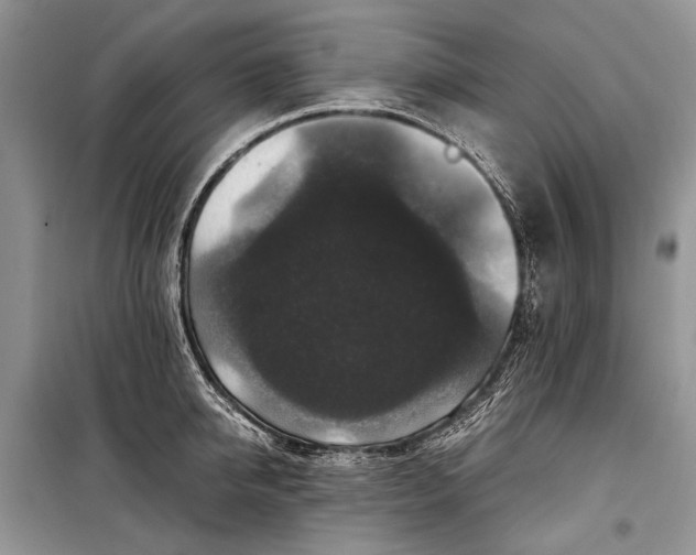 X0000099290950200805161322