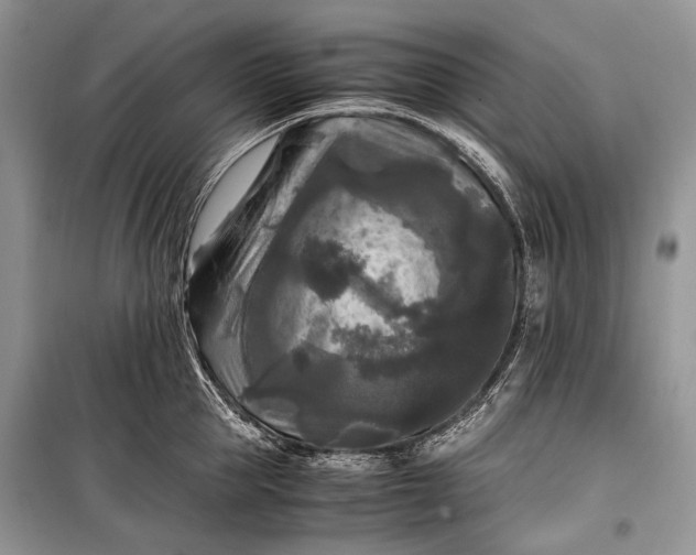 X0000099290953200805161322