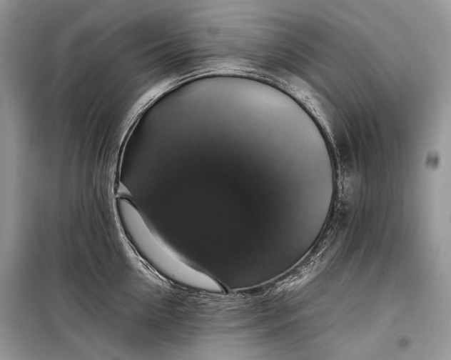 X0000099290954200805161322