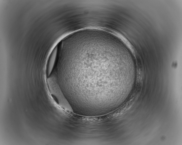 X0000099290955200805161322