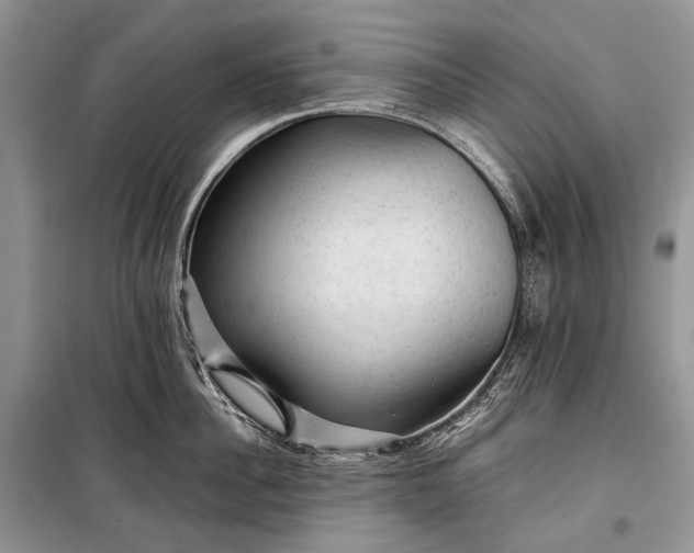 X0000099290956200805161322