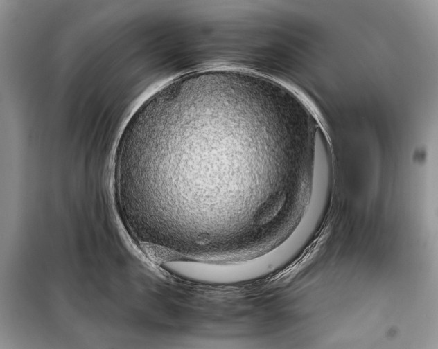 X0000099290957200805161322