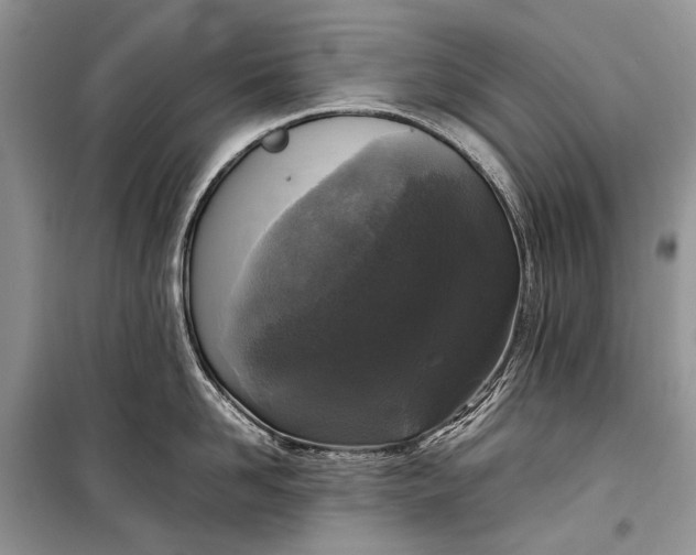 X0000099290958200805161322