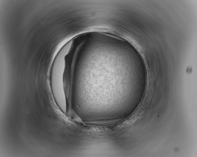 X0000099290960200805161322