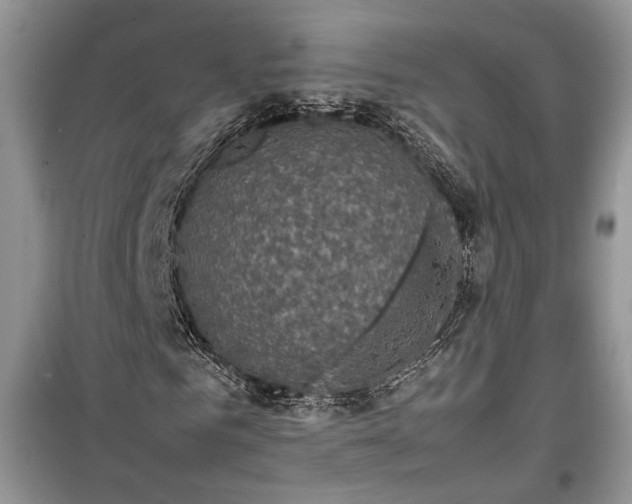 X0000099290961200805161321