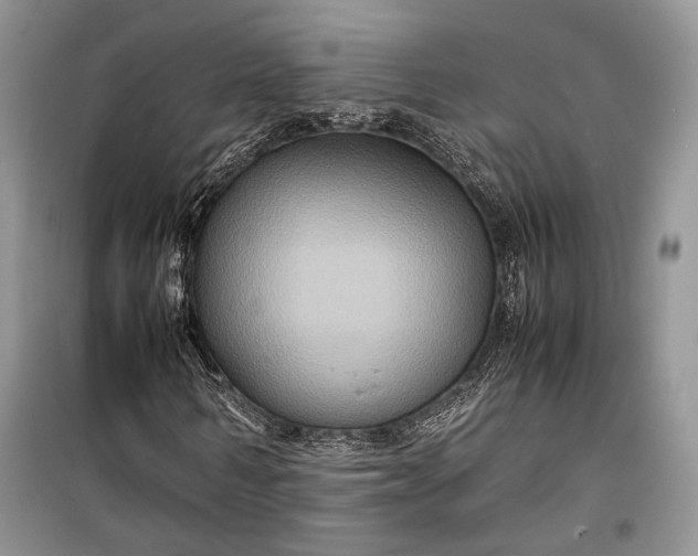 X0000099290962200805161321