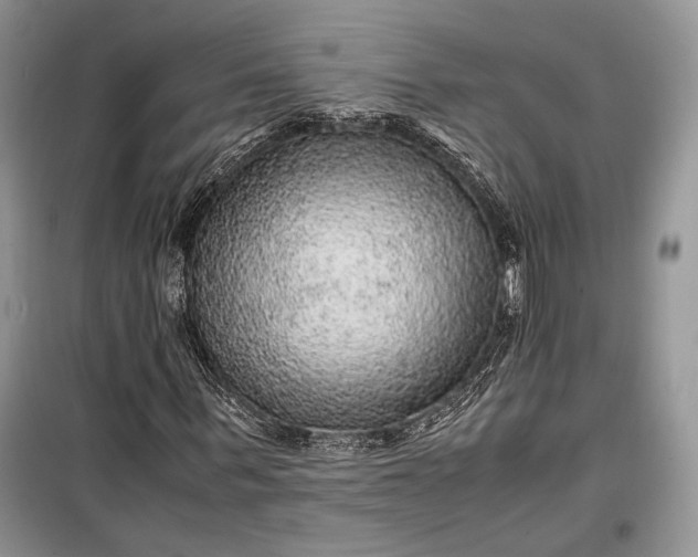 X0000099290963200805161321