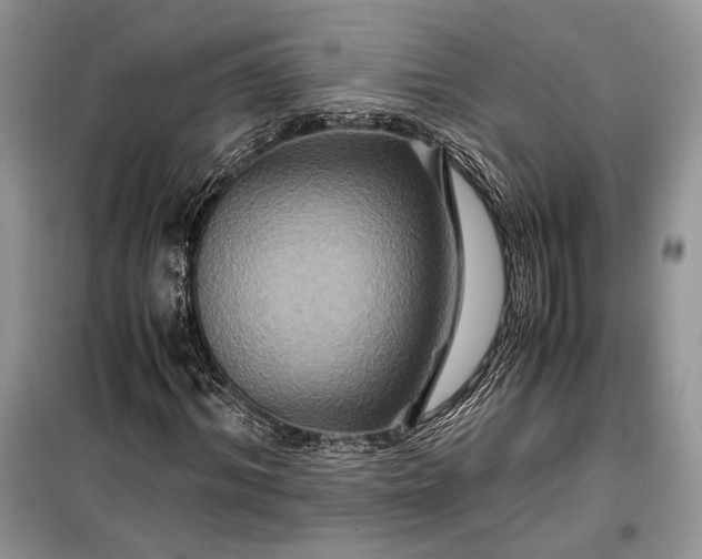 X0000099290964200805161321