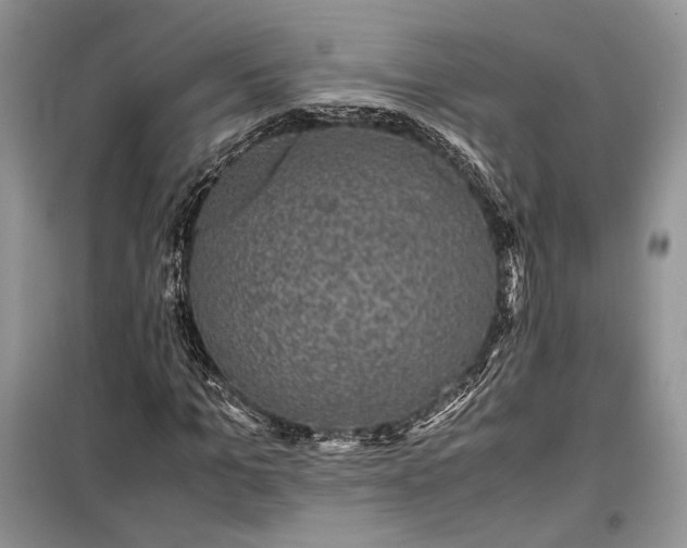 X0000099290965200805161321