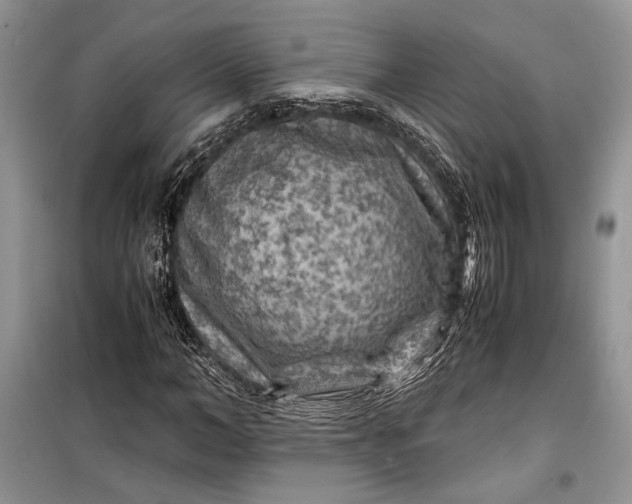 X0000099290966200805161321