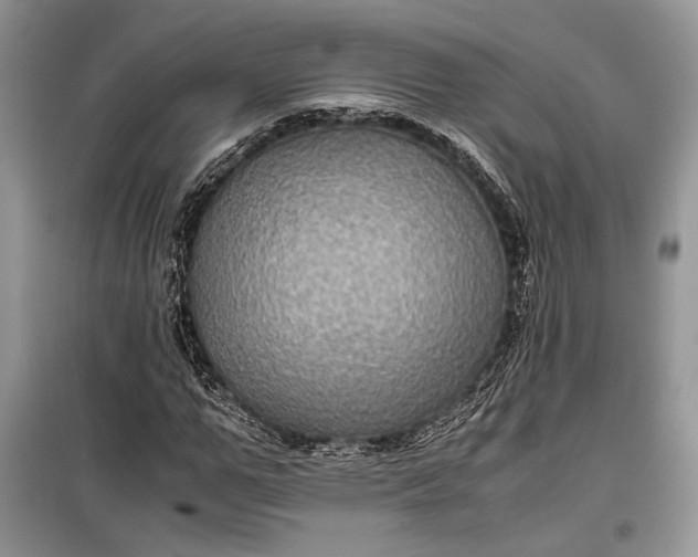 X0000099290967200805161321