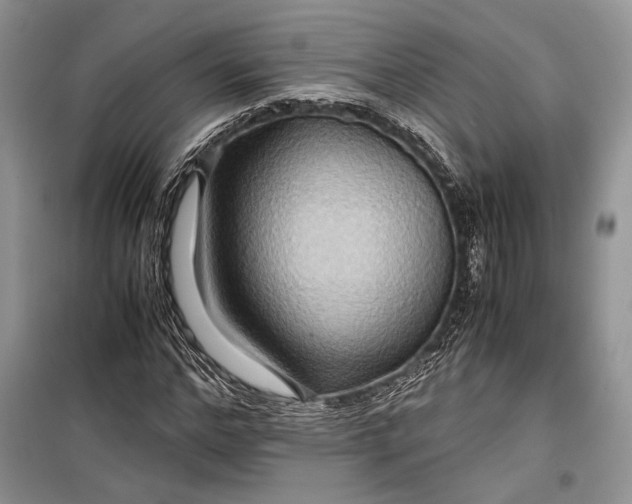 X0000099290968200805161321