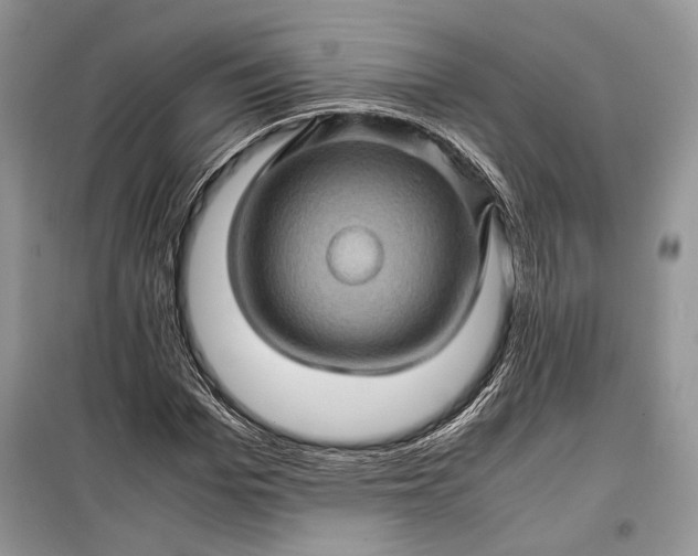 X0000099290969200805161321