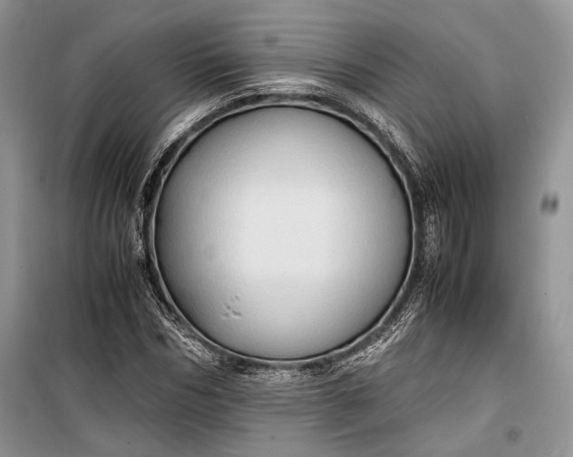 X0000099290970200805161321