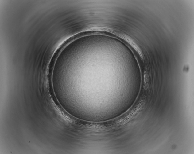 X0000099290972200805161321