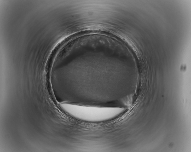 X0000099290975200805161321