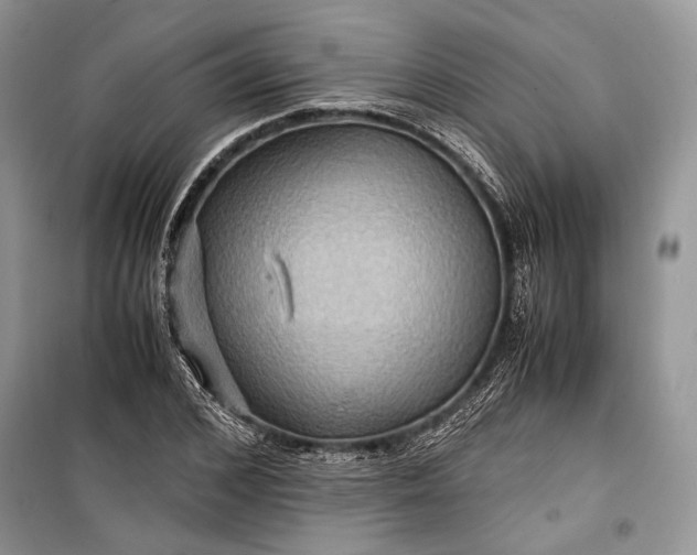 X0000099290976200805161321