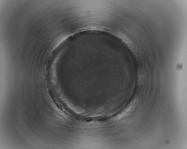 X0000099290977200805161321