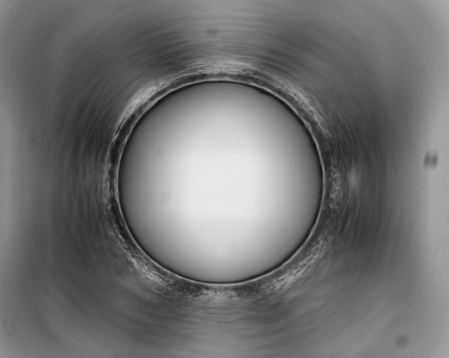 X0000099290978200805161321