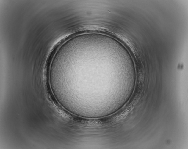 X0000099290979200805161321