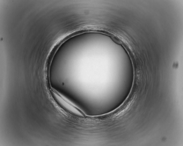 X0000099290981200805161321