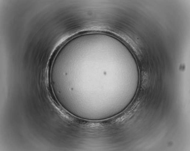 X0000099290982200805161321