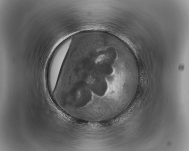 X0000099290983200805161321