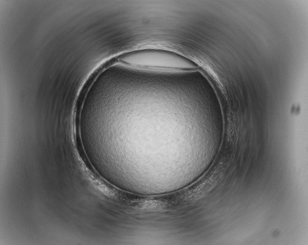 X0000099290984200805161321