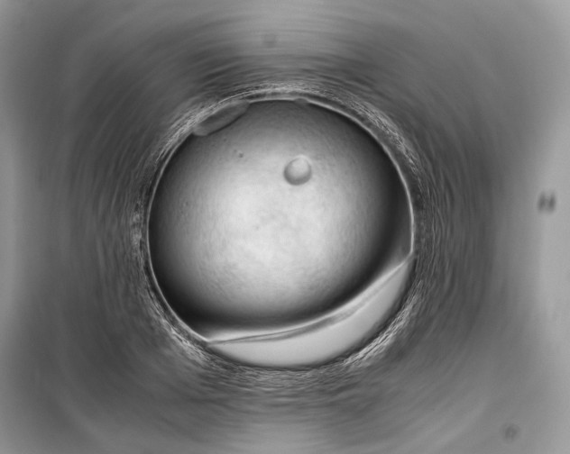 X0000099290985200805161321