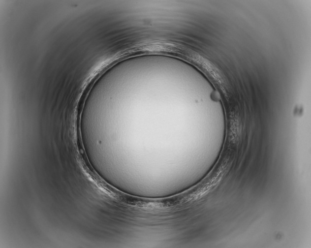 X0000099290986200805161321