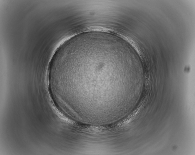 X0000099290987200805161321