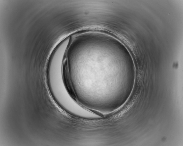 X0000099290989200805161321