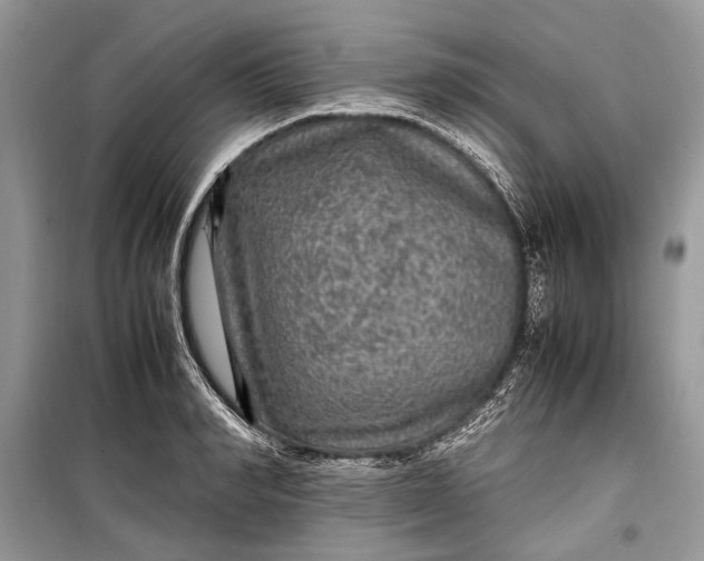 X0000099290990200805161321