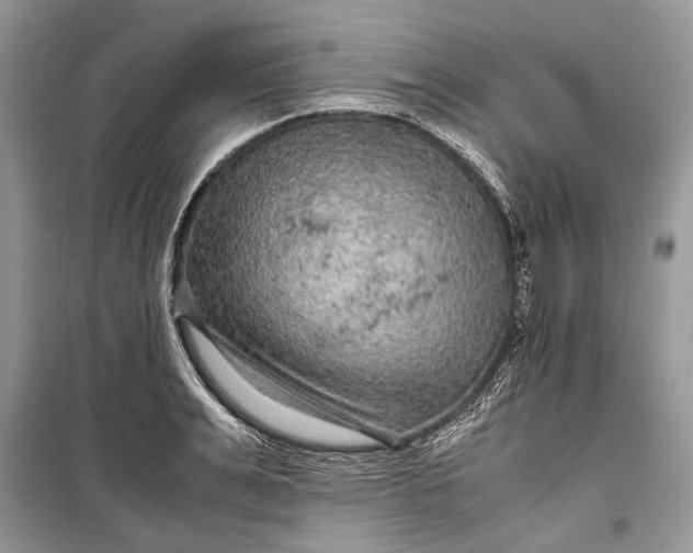 X0000099290991200805161321