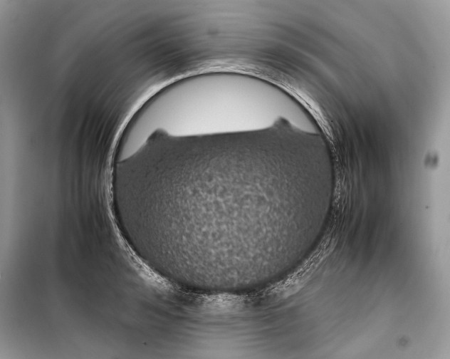 X0000099290992200805161321