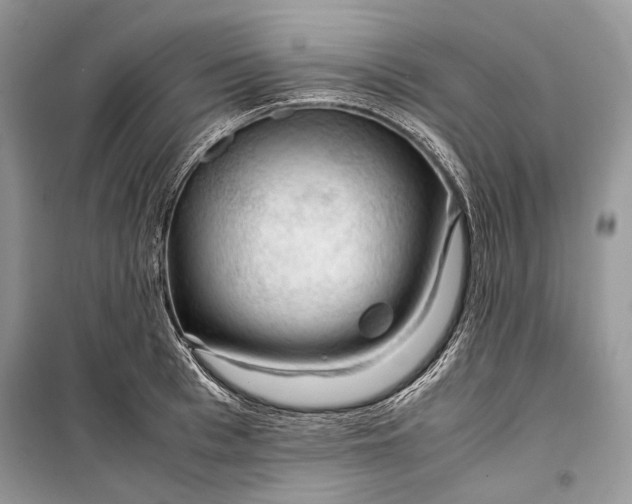 X0000099290993200805161321