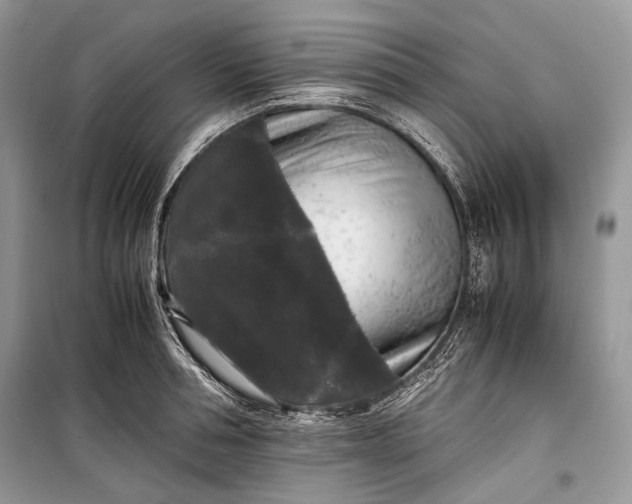 X0000099290994200805161321